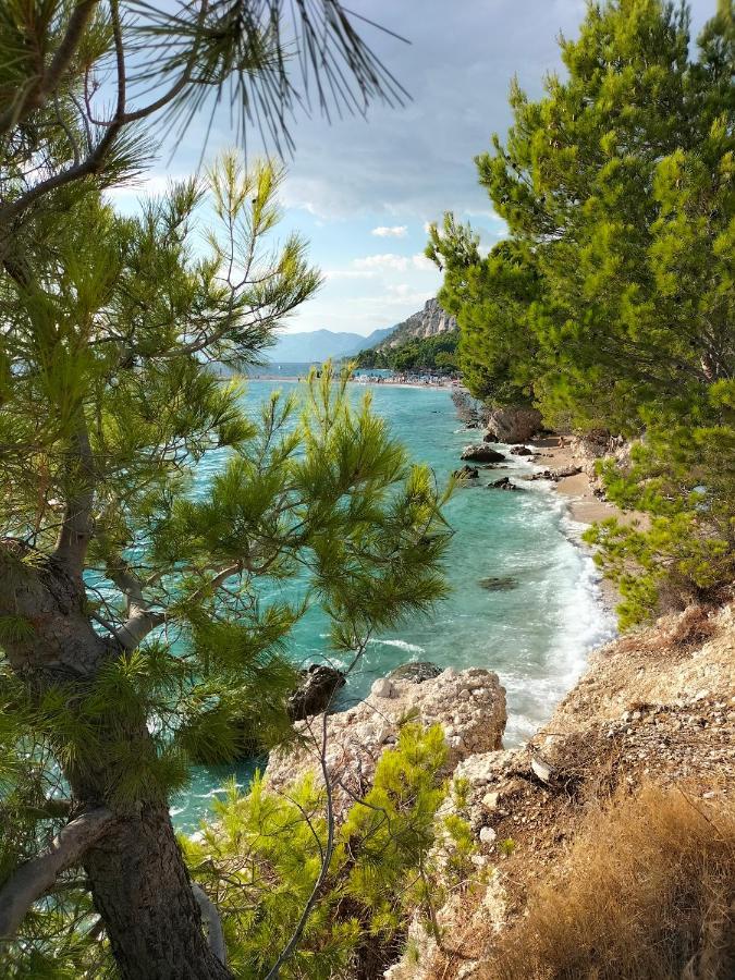 Studie-Apartment In Makarska, Kroatien Esterno foto