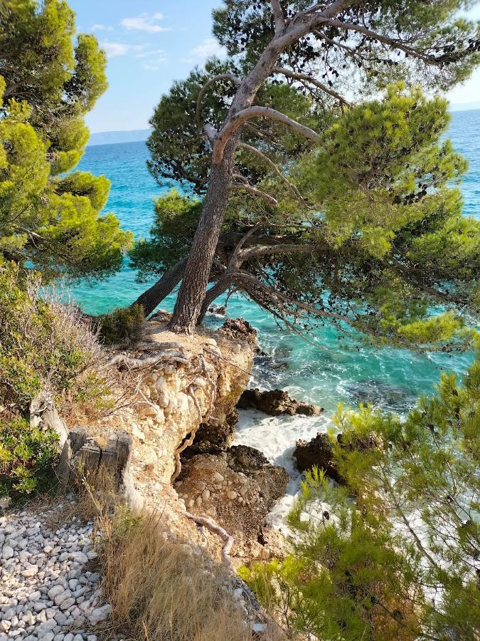 Studie-Apartment In Makarska, Kroatien Esterno foto